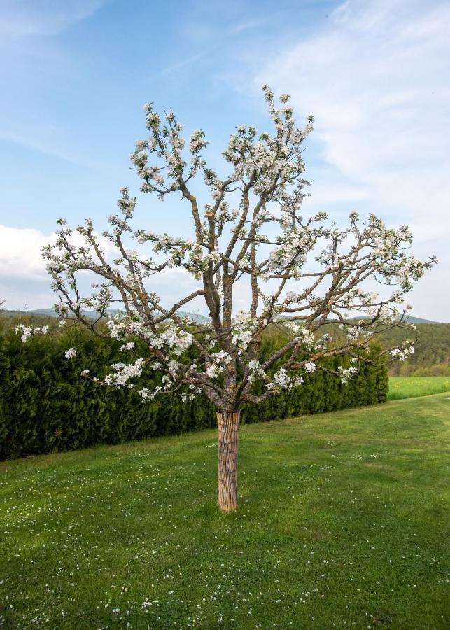 Moderne, Gemuetliche Dg-Wohnung In Ruhiger Lage Neunburg vorm Wald Bagian luar foto