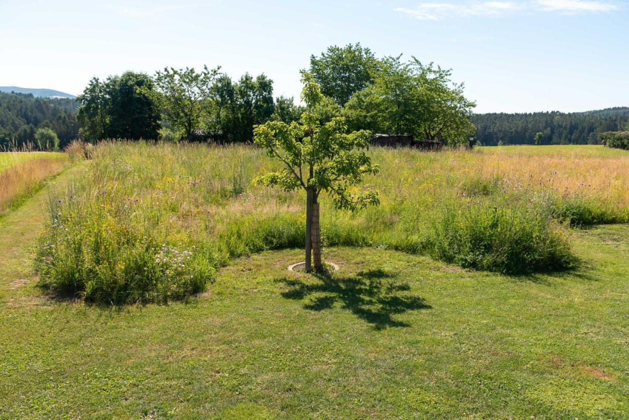 Moderne, Gemuetliche Dg-Wohnung In Ruhiger Lage Neunburg vorm Wald Bagian luar foto